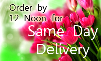 Same day delivery - order by 12 noon