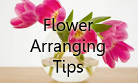 Flower arrangement tips